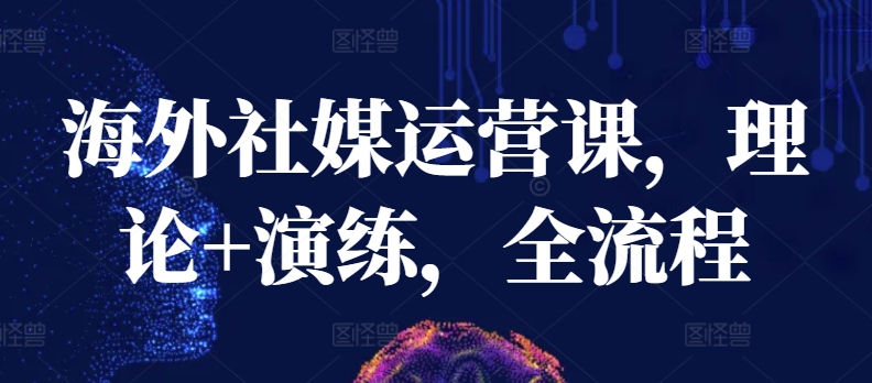 海外社媒运营课，理论+演练，全流程-灵动共创