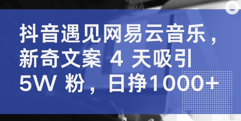 抖音遇见网易云音乐，新奇文案 4 天吸引 5W 粉，日挣1000+【揭秘】-灵动共创