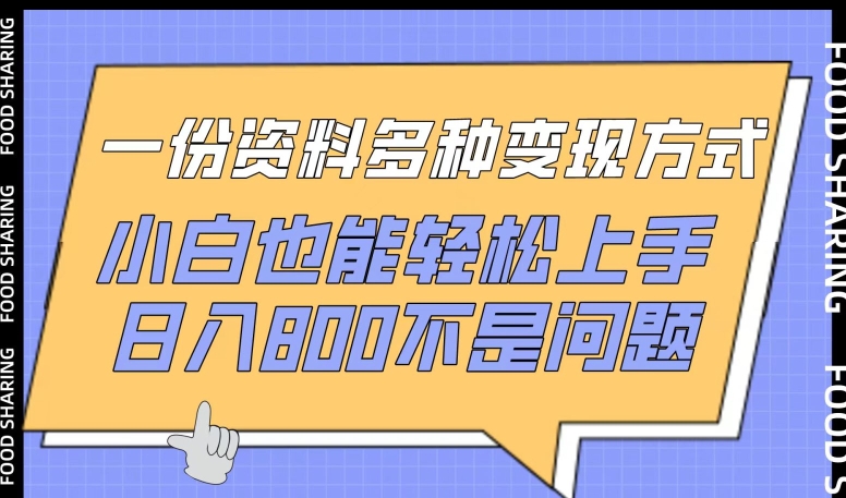 一份资料多种变现方式，小白也能轻松上手，日入800不是问题【揭秘】-灵动共创