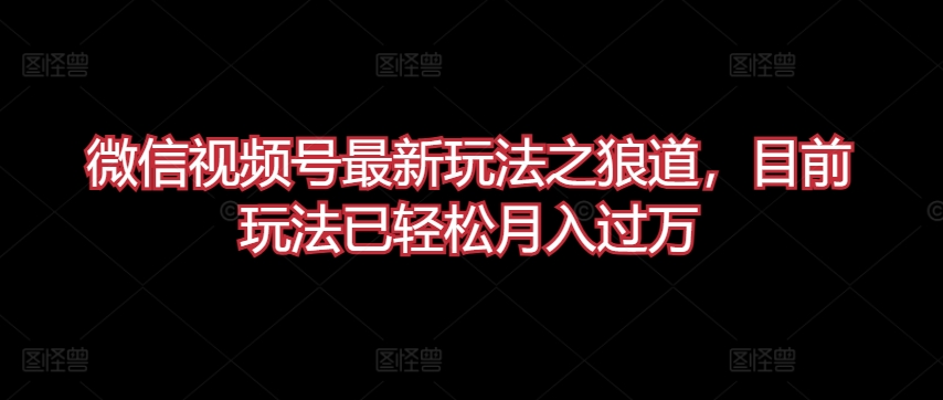 微信视频号最新玩法之狼道，目前玩法已轻松月入过万【揭秘】-灵动共创