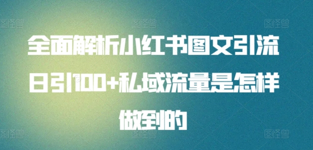 全面解析小红书图文引流日引100+私域流量是怎样做到的【揭秘】-灵动共创