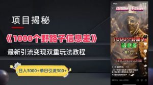 一千个野路子信息差最新玩法教程-变现+引流的玩法具体拆解【揭秘】-灵动共创