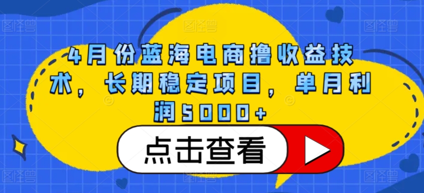 4月份蓝海电商撸收益技术，长期稳定项目，单月利润5000+【揭秘】-灵动共创