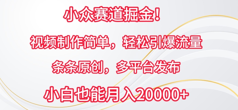 小众赛道掘金，视频制作简单，轻松引爆流量，条条原创，多平台发布【揭秘】-灵动共创