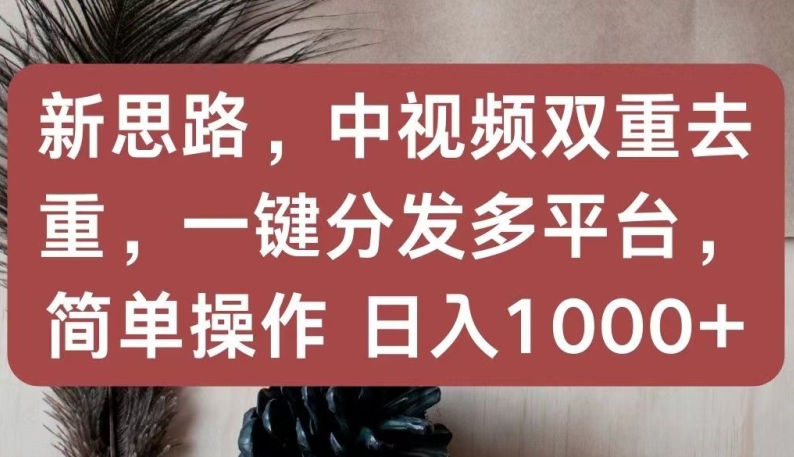 新思路，中视频双重去重，一键分发多平台，简单操作，日入1000+【揭秘】-灵动共创
