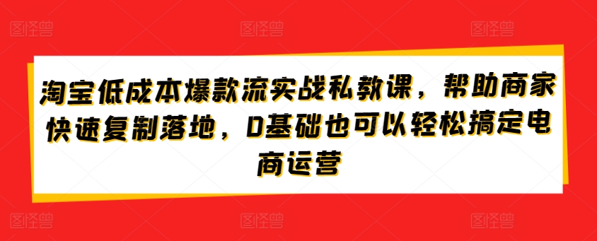 淘宝低成本爆款流实战私教课，帮助商家快速复制落地，0基础也可以轻松搞定电商运营-灵动共创