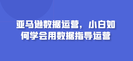 亚马逊数据运营，小白如何学会用数据指导运营-灵动共创