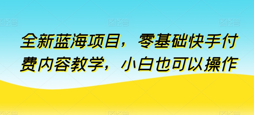 全新蓝海项目，零基础快手付费内容教学，小白也可以操作【揭秘】-灵动共创
