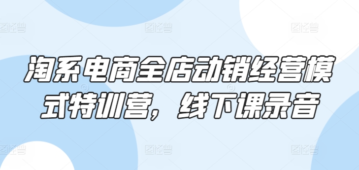 淘系电商全店动销经营模式特训营，线下课录音-灵动共创