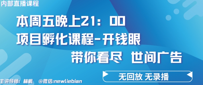 4.26日内部回放课程《项目孵化-开钱眼》赚钱的底层逻辑【揭秘】-灵动共创