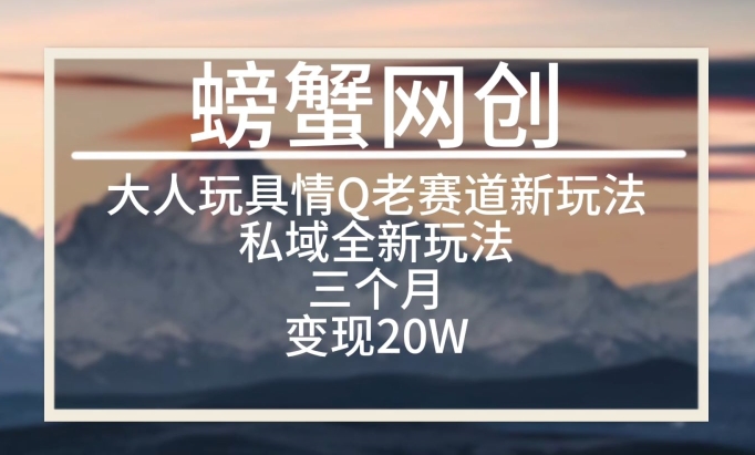 大人玩具情Q用品赛道私域全新玩法，三个月变现20W，老项目新思路【揭秘】-灵动共创
