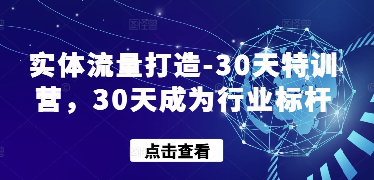 实体流量打造-30天特训营，30天成为行业标杆-灵动共创