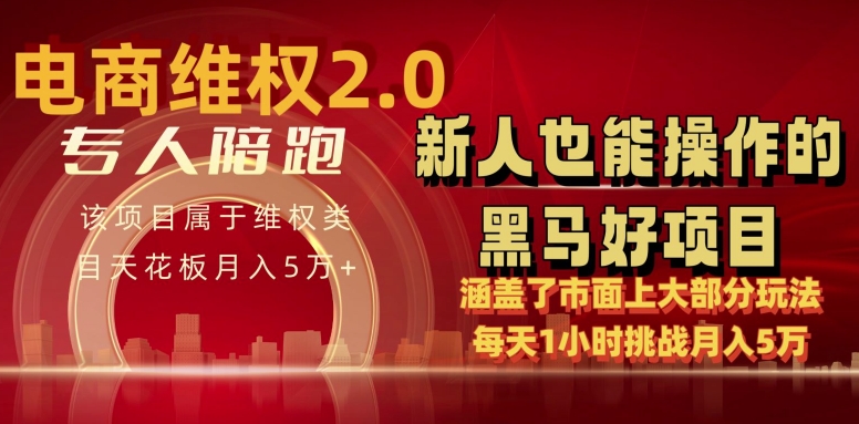 电商维权 4.0 如何做到月入 5 万+每天 1 小时新人也能快速上手【仅揭秘】-灵动共创