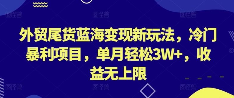 外贸尾货蓝海变现新玩法，冷门暴利项目，单月轻松3W+，收益无上限【揭秘】-灵动共创