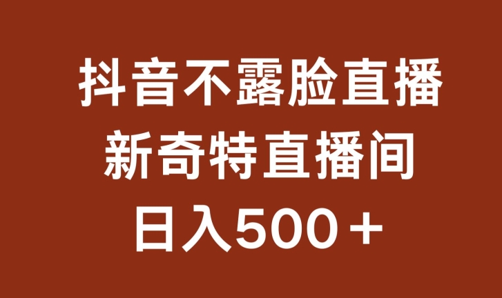 不露脸挂机直播，新奇特直播间，日入500+【揭秘】-灵动共创
