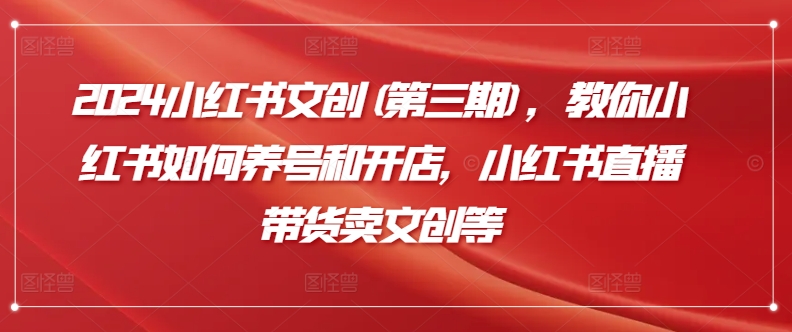 2024小红书文创(第三期)，教你小红书如何养号和开店，小红书直播带货卖文创等-灵动共创