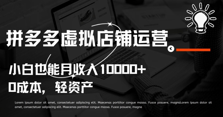 拼多多虚拟店铺运营小白也能月收入10000+【揭秘】-灵动共创