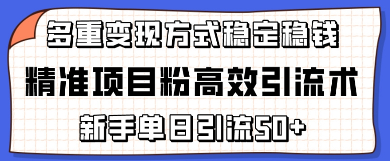 精准项目粉高效引流术，新手单日引流50+，多重变现方式稳定赚钱【揭秘】-灵动共创