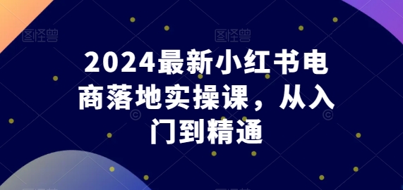 2024最新小红书电商落地实操课，从入门到精通-灵动共创