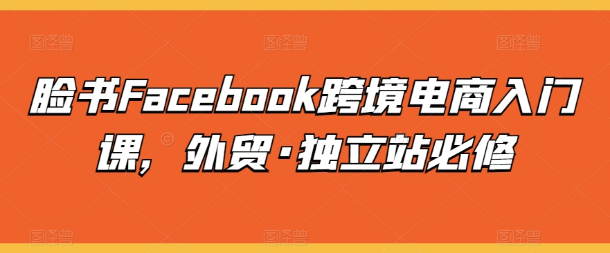 脸书Facebook跨境电商入门课，外贸·独立站必修-灵动共创