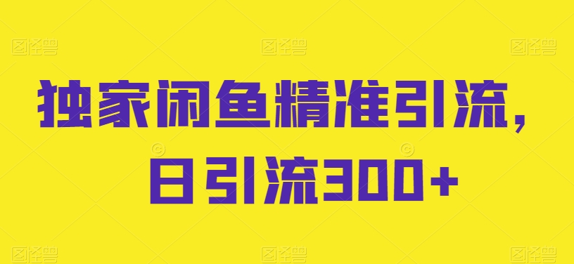 独家闲鱼精准引流，日引流300+【揭秘】-灵动共创