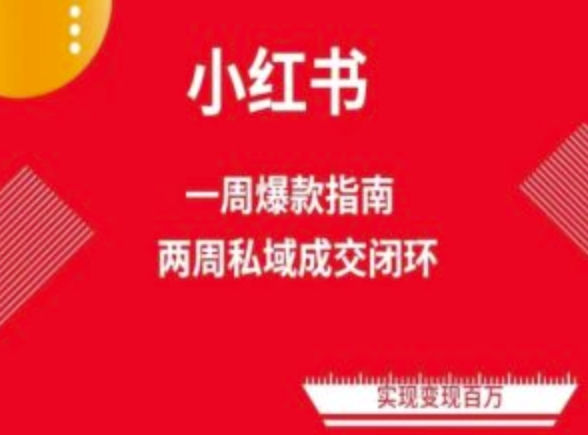 爆款小红书免费流量体系课程(两周变现)，小红书电商教程-灵动共创