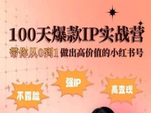 小红书100天爆款IP实战营，带你从0到1做出高价值的小红书号-灵动共创