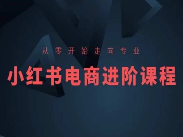 从零开始走向专业，小红书电商进阶课程-灵动共创