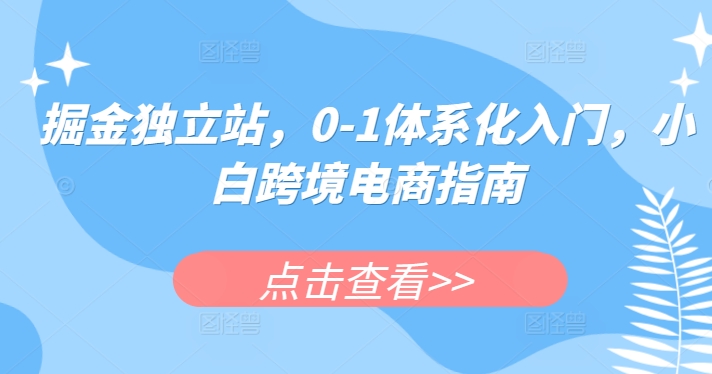 掘金独立站，0-1体系化入门，小白跨境电商指南-灵动共创