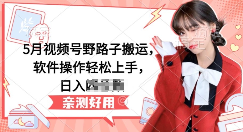 5月视频号野路子搬运，软件操作轻松上手，日入三位数【揭秘】-灵动共创