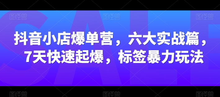 抖音小店爆单营，六大实战篇，7天快速起爆，标签暴力玩法-灵动共创