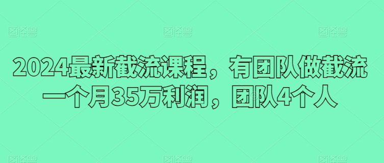 2024最新截流课程，有团队做截流一个月35万利润，团队4个人-灵动共创