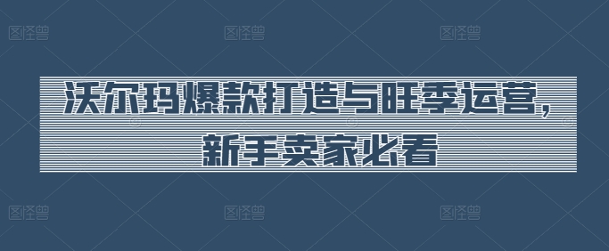 沃尔玛爆款打造与旺季运营，新手卖家必看-灵动共创