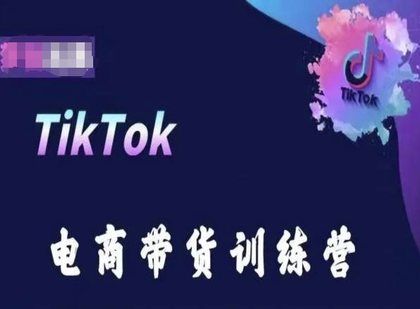 TikTok电商带货训练营，跟随时代潮流，跨境掘金-灵动共创