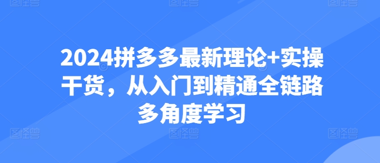 2024拼多多最新理论+实操干货，从入门到精通全链路多角度学习-灵动共创