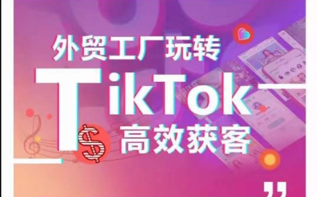 外贸工厂玩转TikTok高效获客，多种引流方式与账号定位技巧，拆解爆款短视频打造成功案例-灵动共创