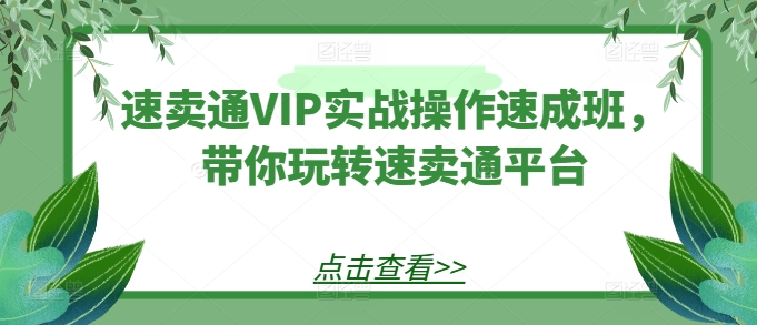 速卖通VIP实战操作速成班，带你玩转速卖通平台-灵动共创