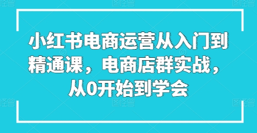 小红书电商运营从入门到精通课，电商店群实战，从0开始到学会-灵动共创