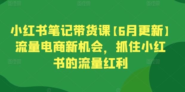 小红书笔记带货课【6月更新】流量电商新机会，抓住小红书的流量红利-灵动共创