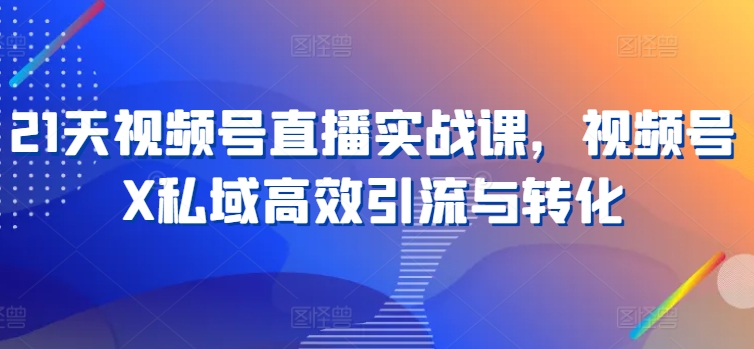 21天视频号直播实战课，视频号X私域高效引流与转化-灵动共创