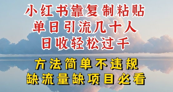 小红书靠复制粘贴单日引流几十人目收轻松过千，方法简单不违规【揭秘】-灵动共创