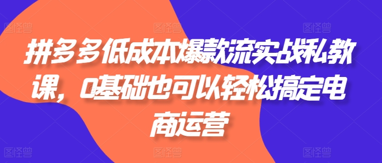 拼多多低成本爆款流实战私教课，0基础也可以轻松搞定电商运营-灵动共创
