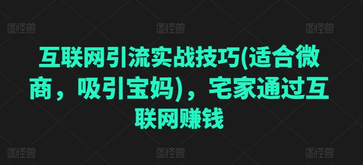 互联网引流实战技巧(适合微商，吸引宝妈)，宅家通过互联网赚钱-灵动共创