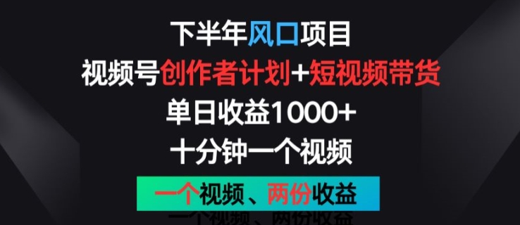 下半年风口项目，视频号创作者计划+视频带货，一个视频两份收益，十分钟一个视频【揭秘】-灵动共创