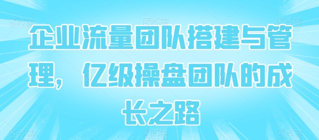企业流量团队搭建与管理，亿级操盘团队的成长之路-灵动共创