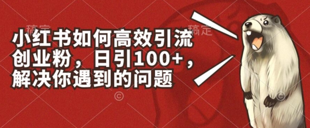 小红书如何高效引流创业粉，日引100+，解决你遇到的问题【揭秘】-灵动共创
