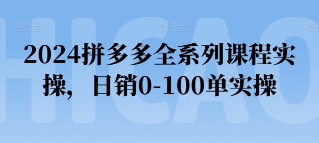 2024拼多多全系列课程实操，日销0-100单实操【必看】-灵动共创