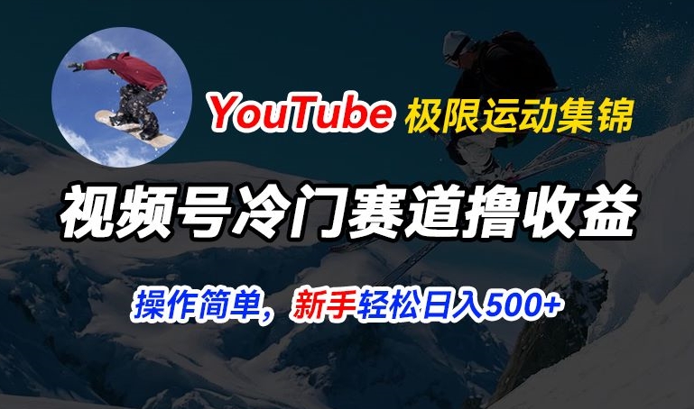 视频号冷门赛道撸收益，YouTube搬运极限运动集锦，暴力起号，操作简单流量高，轻松日入5张【揭秘】-灵动共创