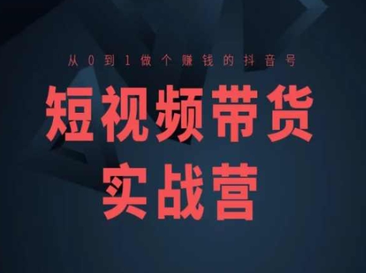 短视频带货实战营(高阶课)，从0到1做个赚钱的抖音号-灵动共创