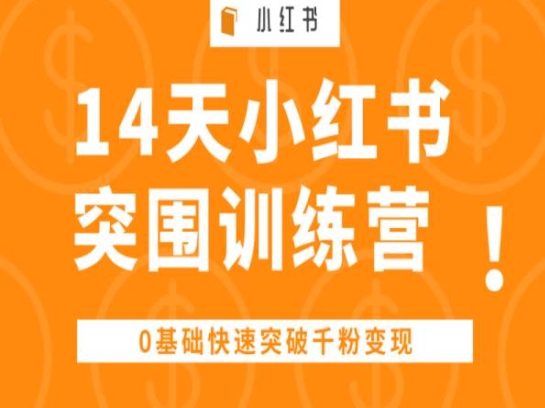 14天小红书突围训练营 ，0基础快速突破千粉变现-灵动共创